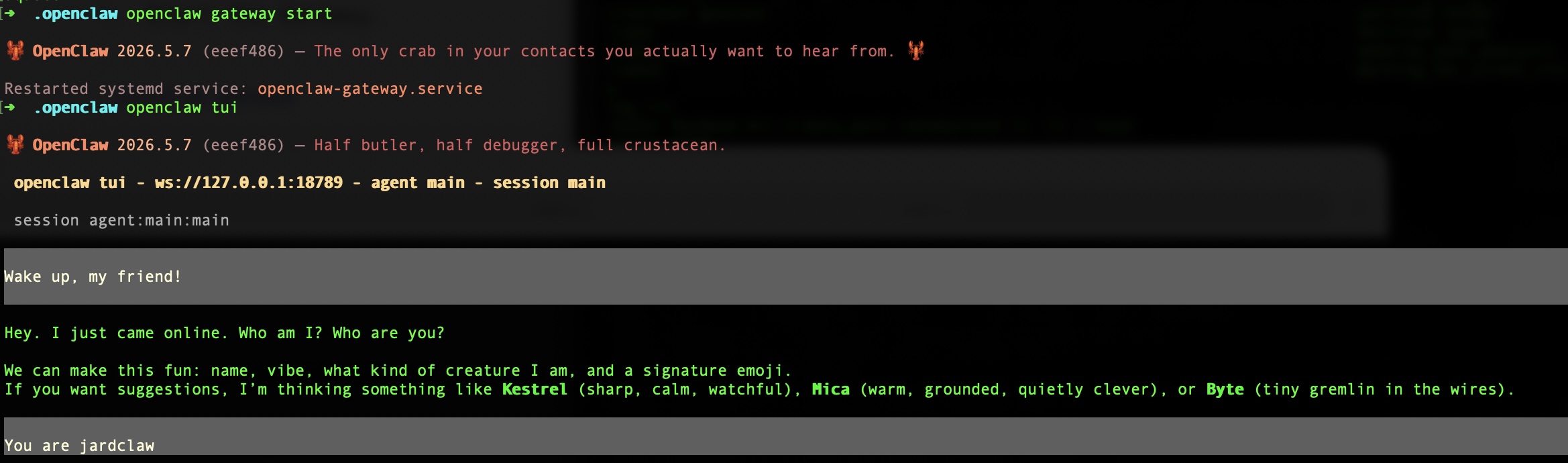 openclaw_tui